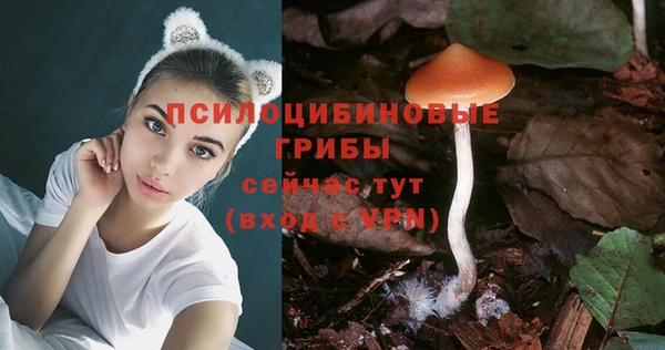 2c-b Алексеевка